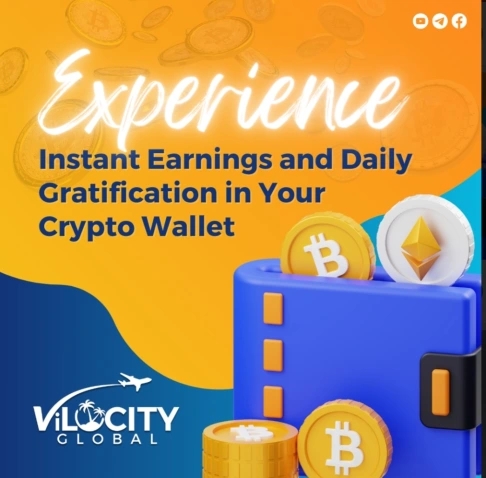 experience-with-vilocity